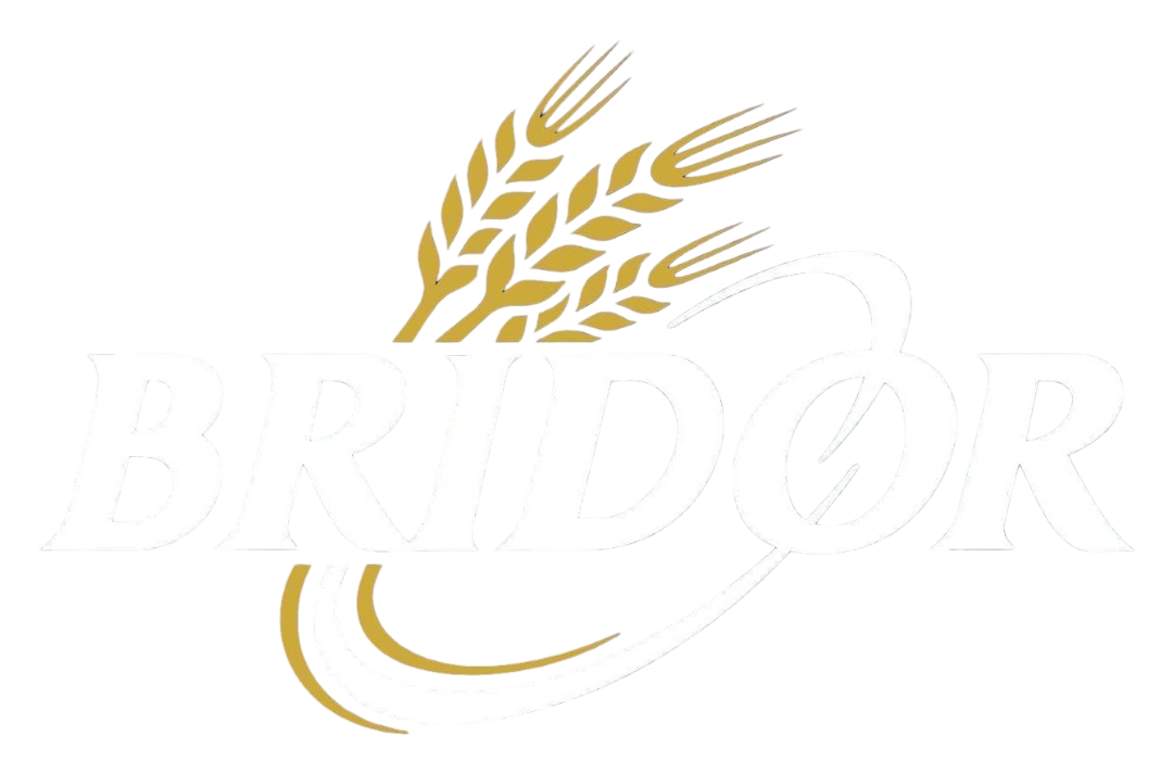 Logo Bridor